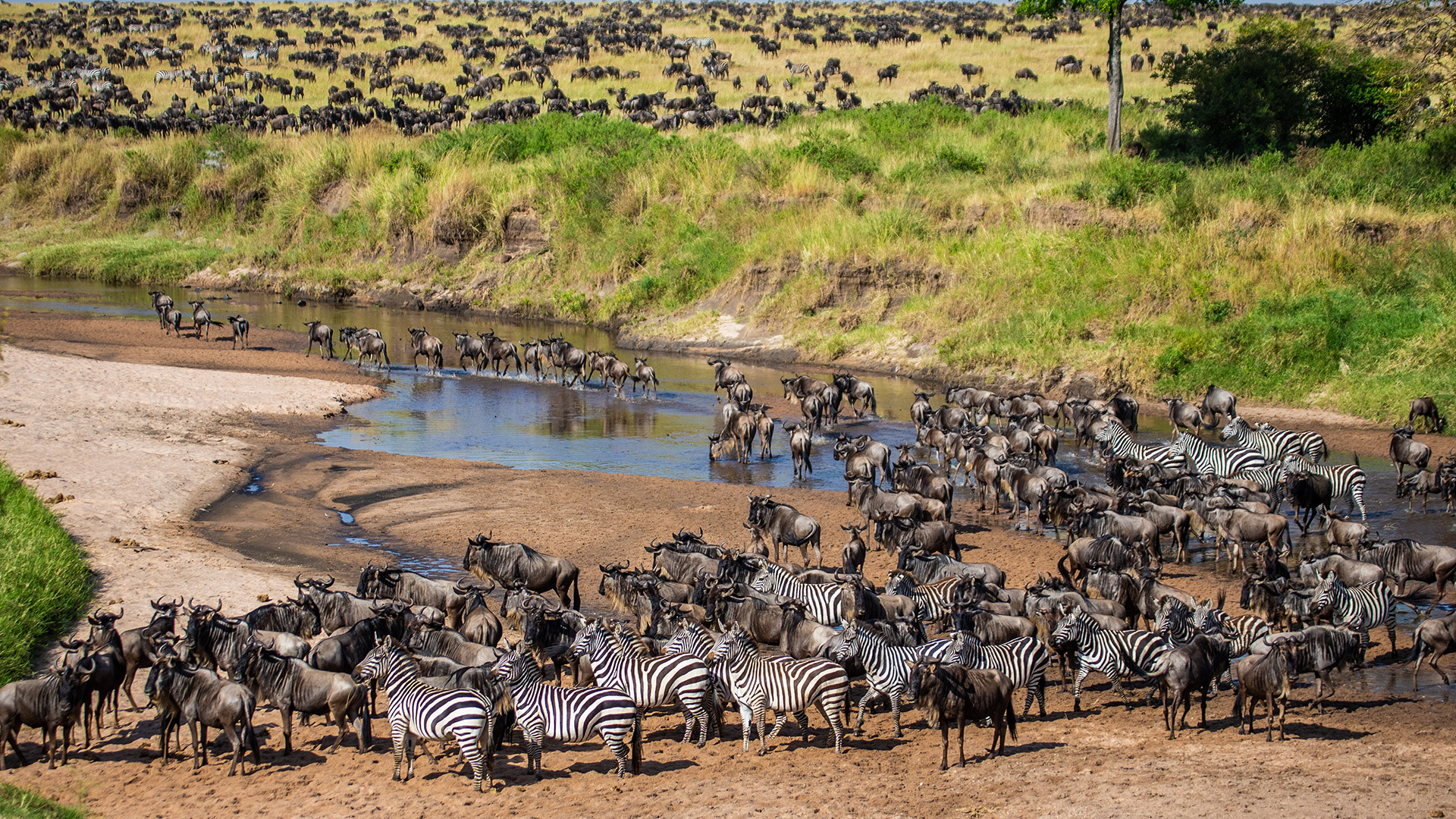 202112-kenia-main-01