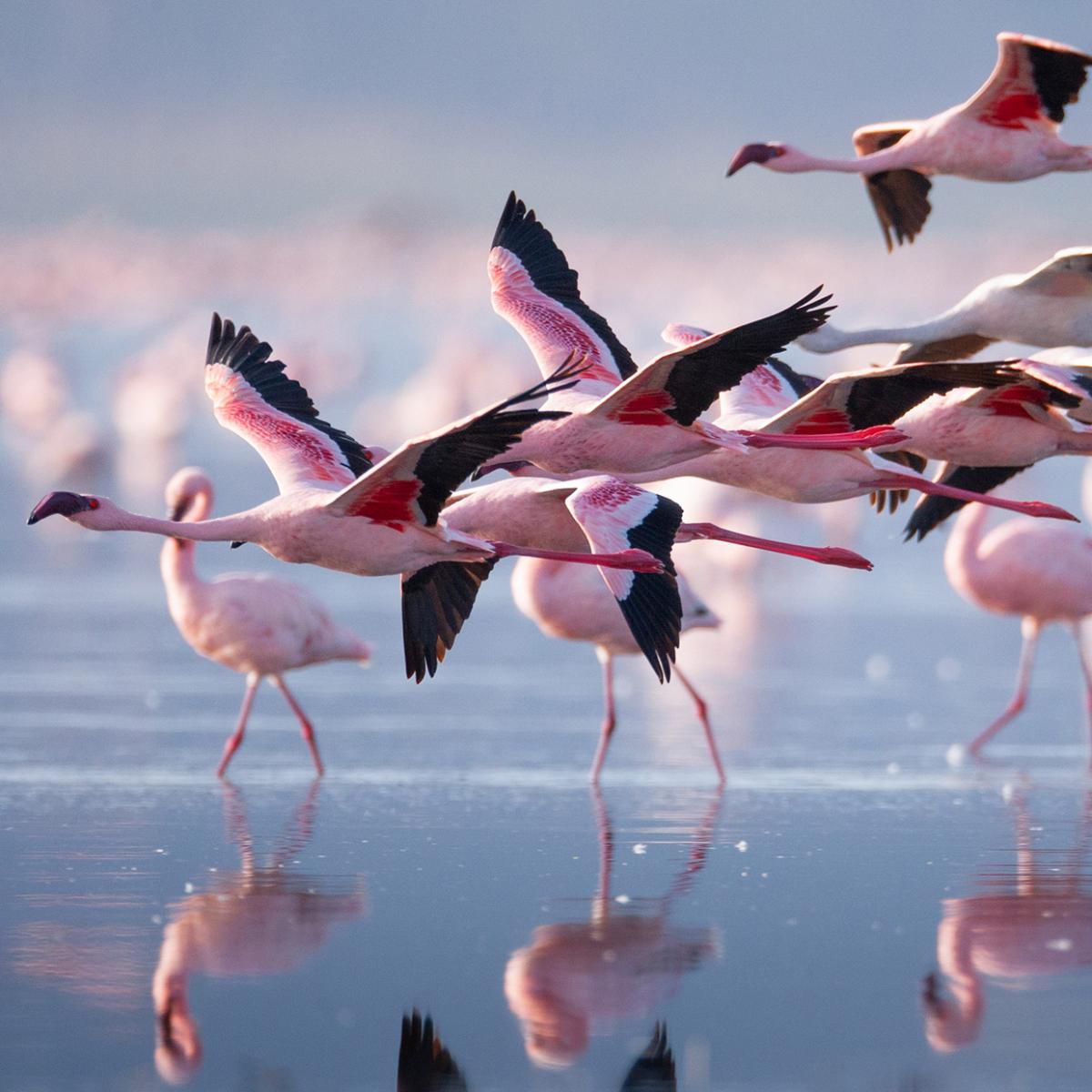 202112-kenia-side-12