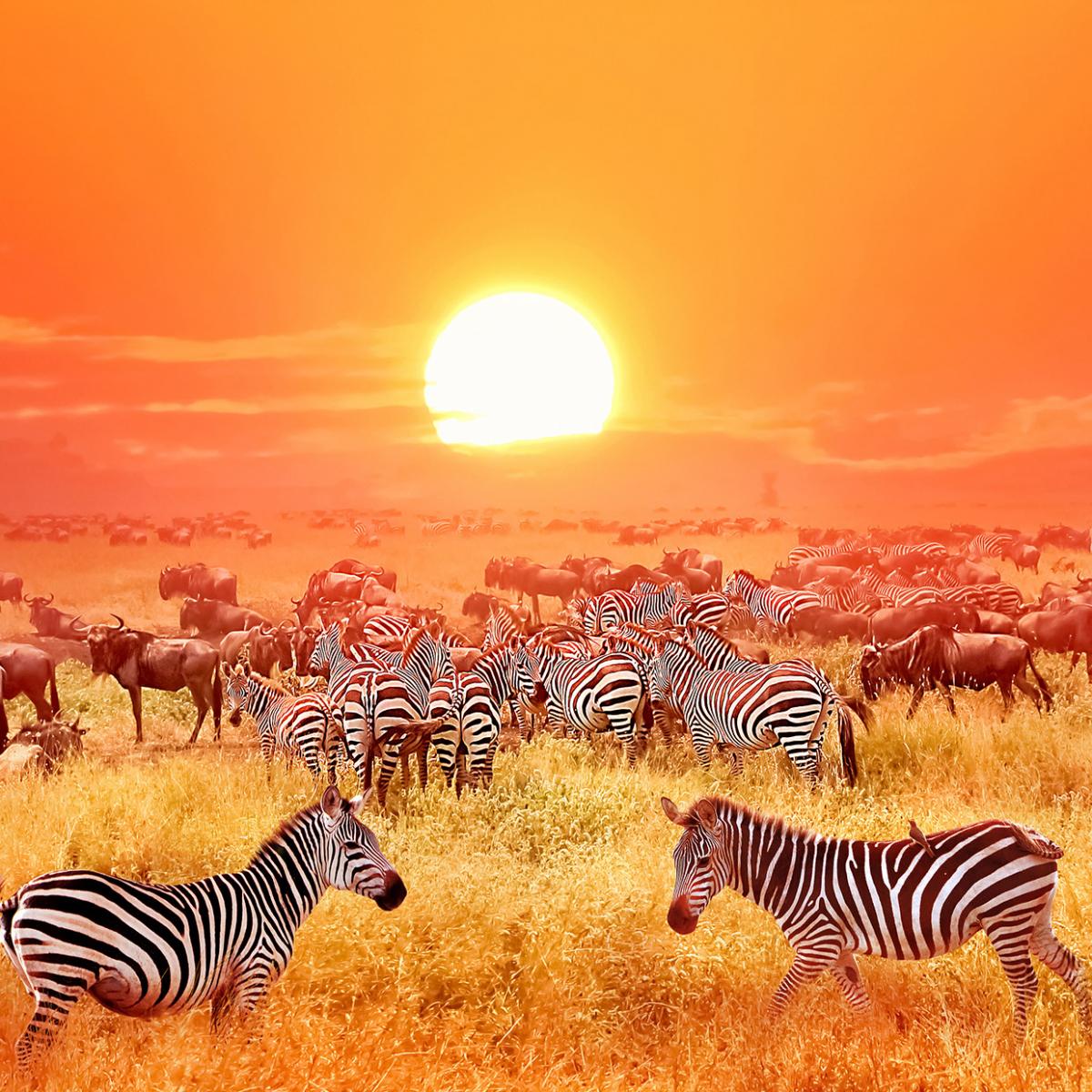 202112-kenia-side-19