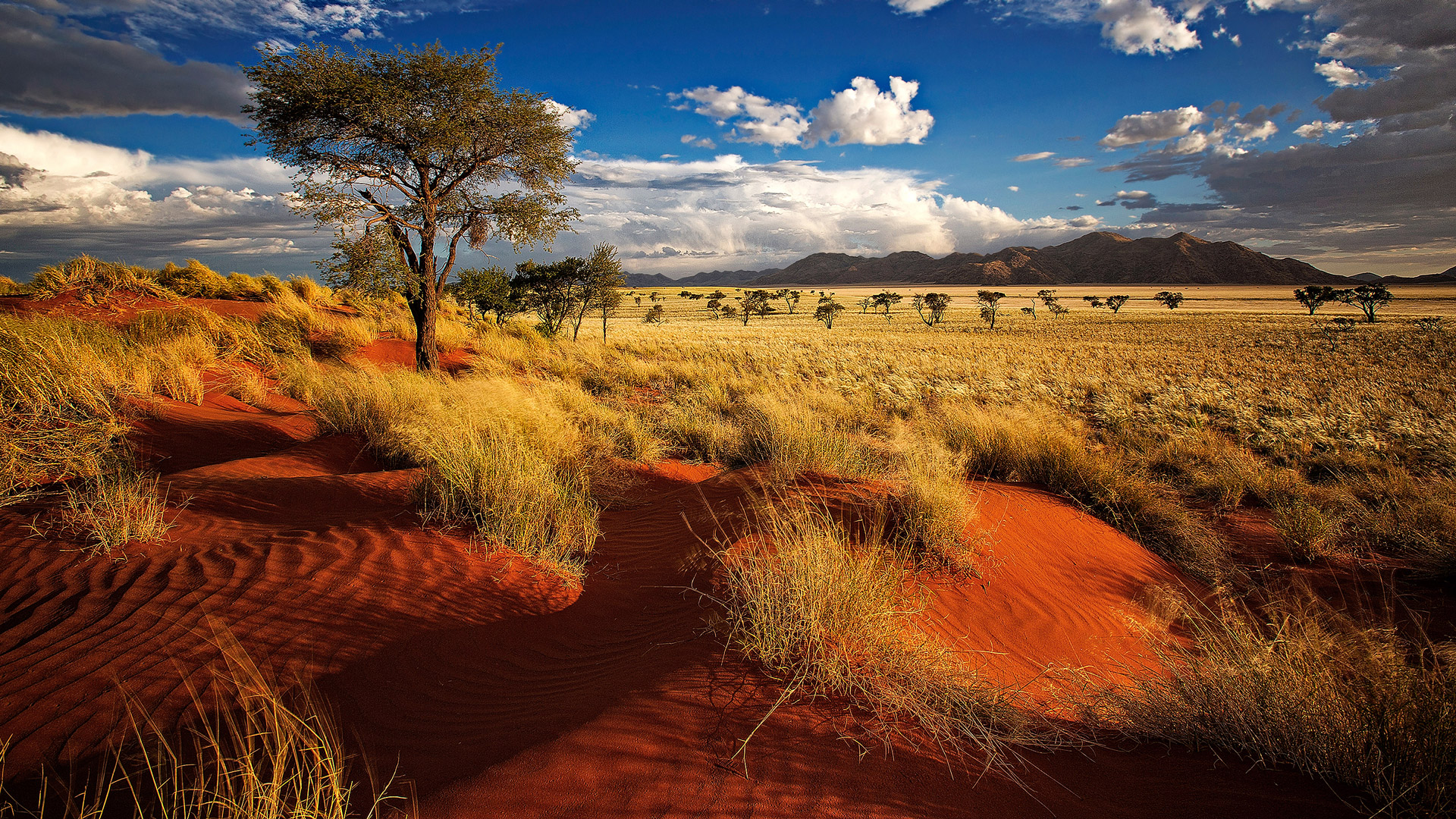 202112-namibie-01