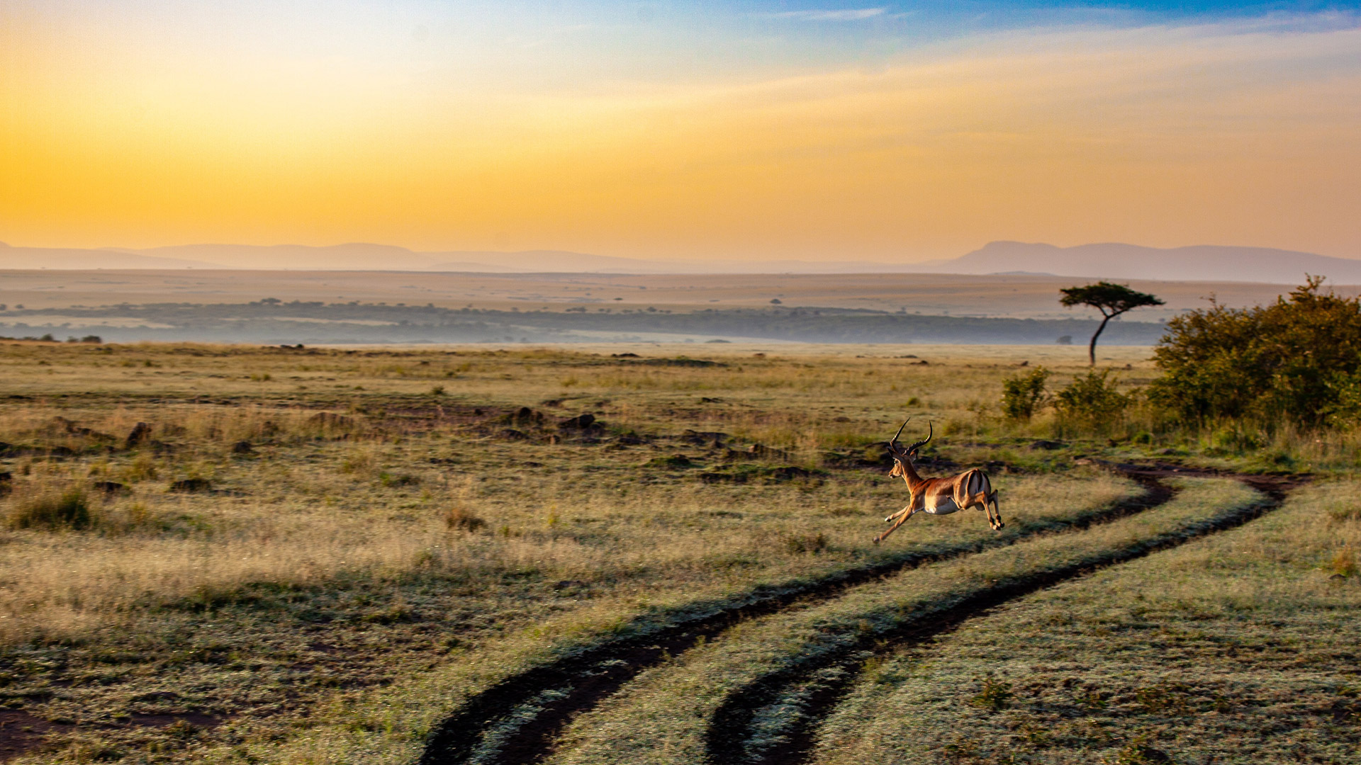 202501-kenia