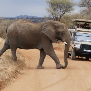 In de ban van Tanzania
