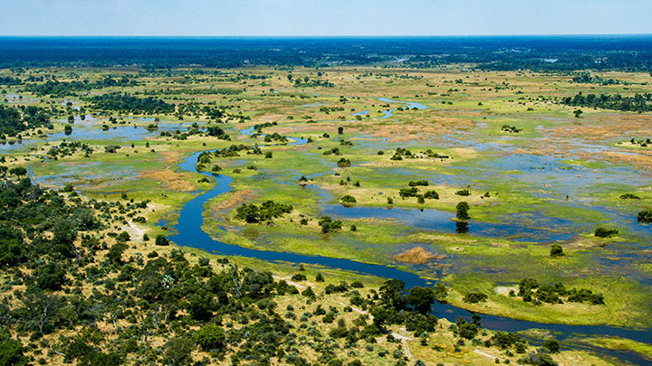 pic-grid-botswana