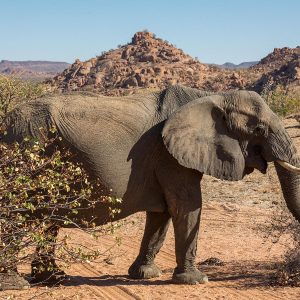 Panorama van Namibië<br>'Damaraland'