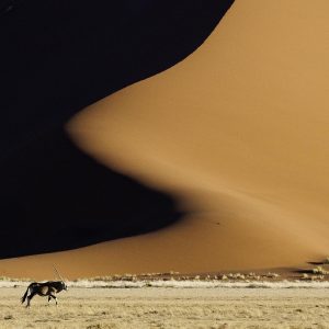 Het beste van Namibië<br>'original'