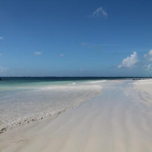 Bush and Beach